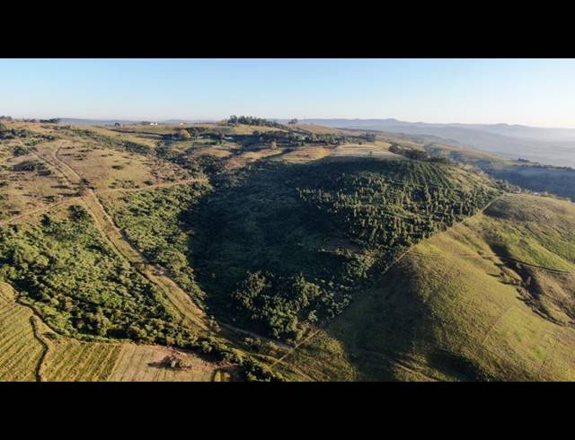 LAND FOR SALE IN MOUNT VERDE